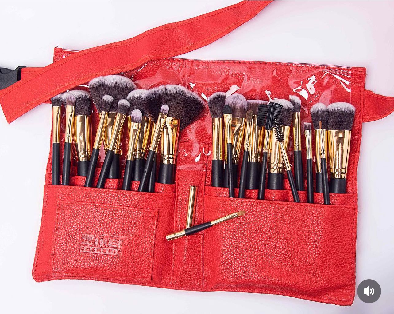 Proffessional makeup brush Zikel
