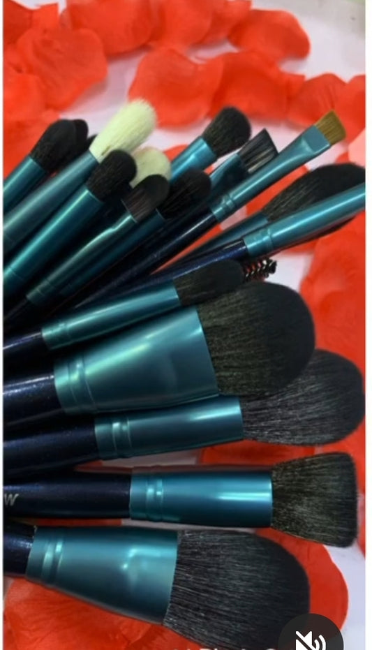 Proffessional makeup brush Zikel